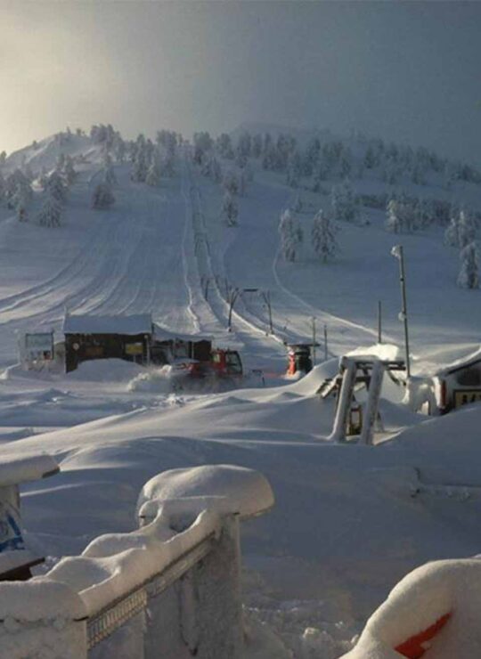 Ski Lessons in Vasilitsa