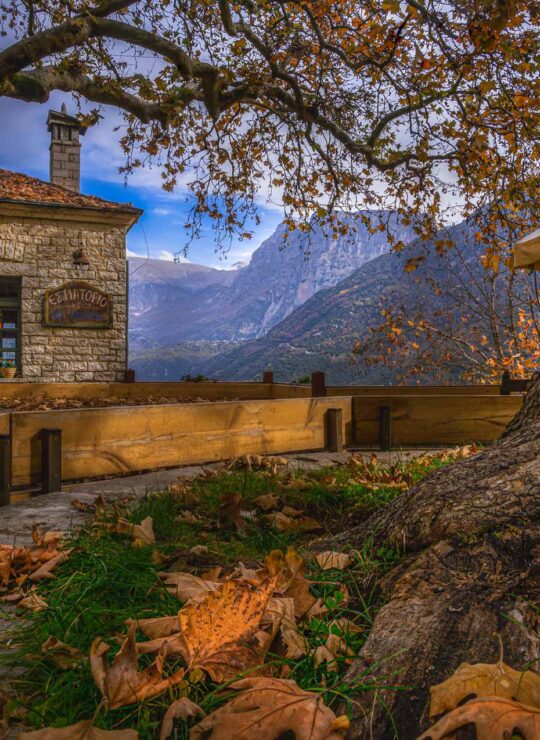 Aristi Zagori