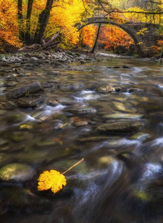 Zagori