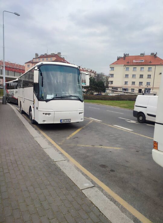 alpine zone buses