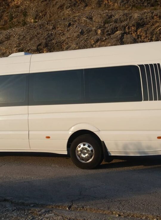 alpine zone van
